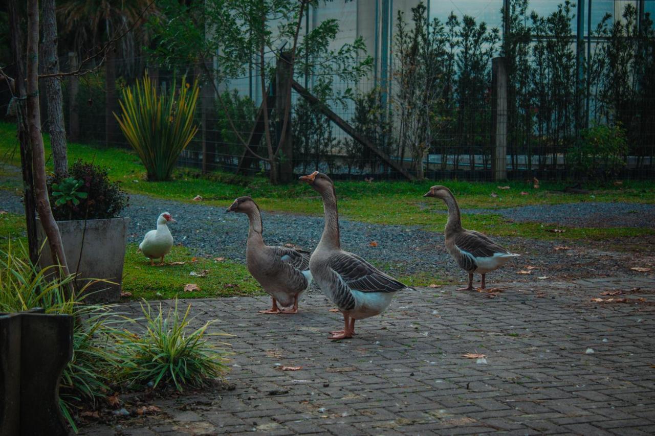 Gramado Motorpark Villa Екстериор снимка